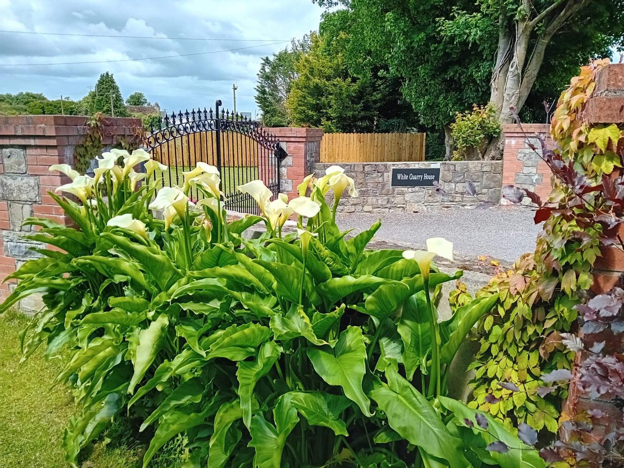 Apartamento White Quarry House Navan Exterior foto